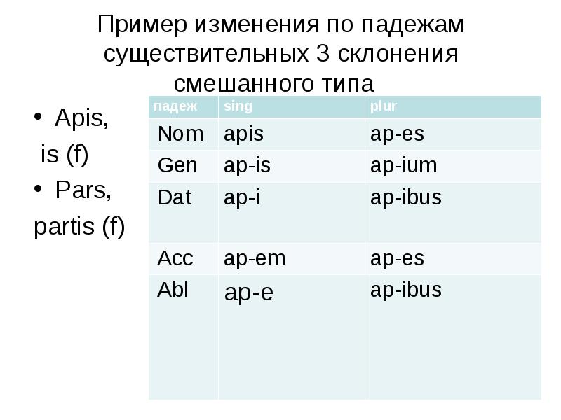 Склонения существительных в латинском