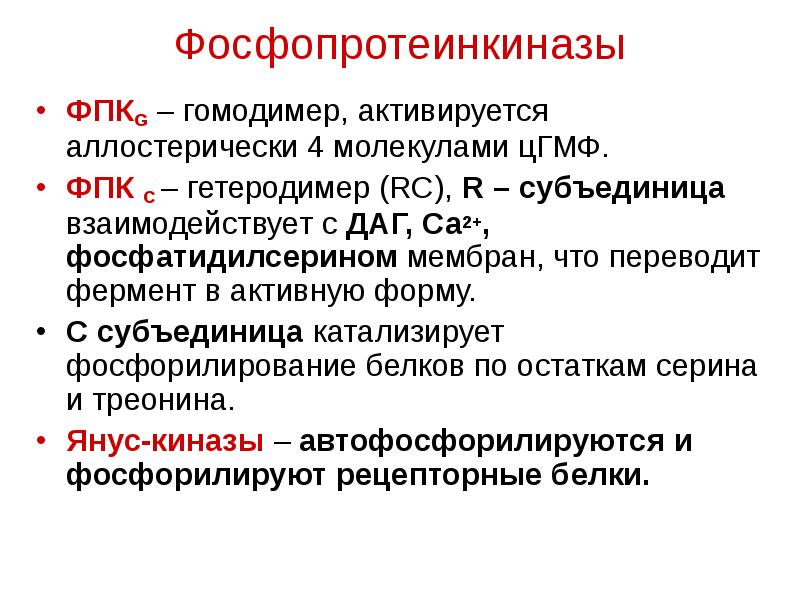 Е2 гормон. Роль фосфорилирования белков. Просекретин. Просекретин активизируются. Гомодимеры и гетеродимеры.