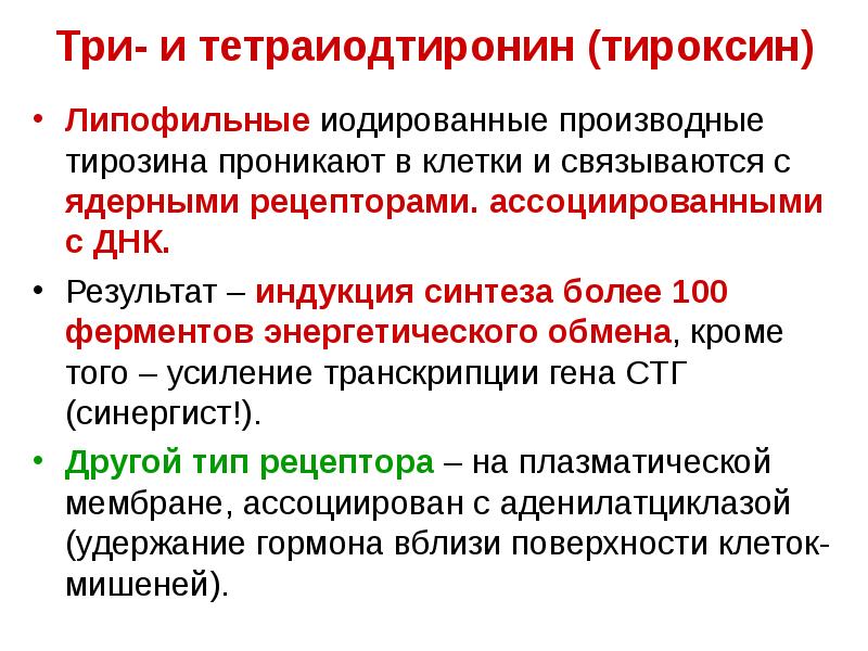 Тироксин производное тирозина. Индукция синтеза ферментов. Липофильные гормоны. Липофильные неполярные вещества.