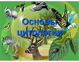 Основы цитологии