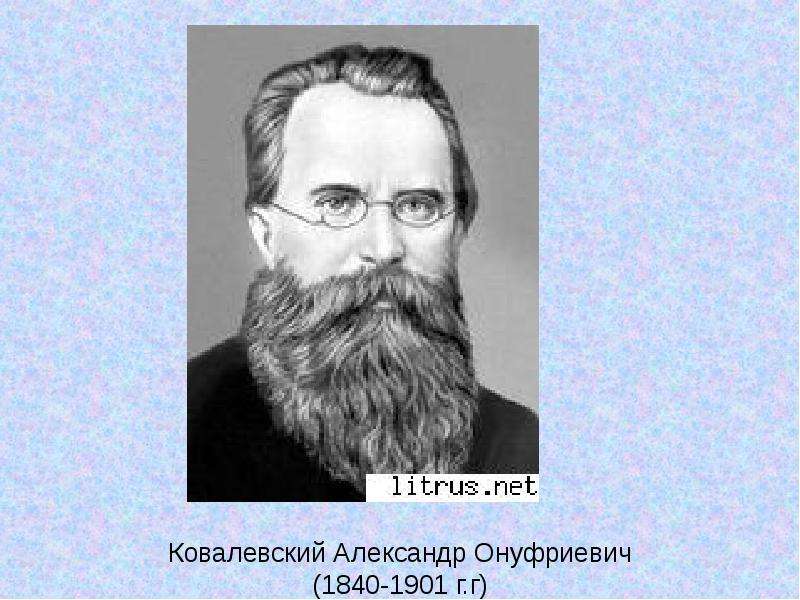 Ковалевский александр онуфриевич презентация