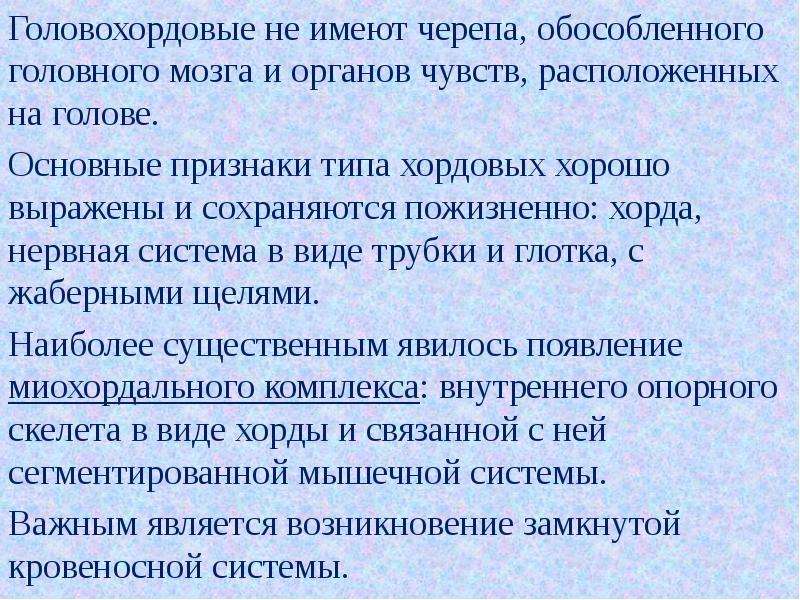 Подведем итоги назовите общие признаки типа хордовые