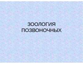 Хордовые