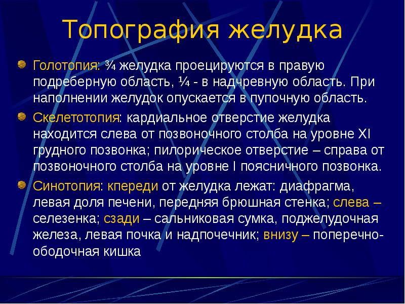 Голотопия. Желудок скелетотопия голотопия синтопия. Топография желудка скелетотопия. Голотопия желудка анатомия.