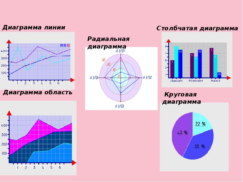 Кому презентовали первую полярную диаграмму