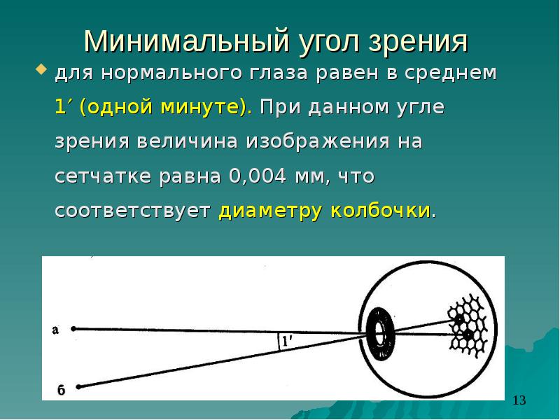 Минимальный размер изображения предмета на сетчатке глаза в норме равен