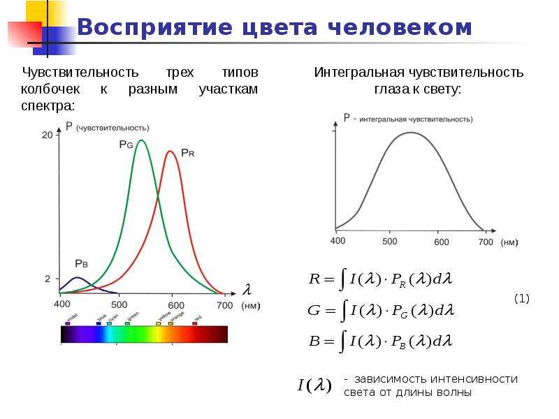 Восприятие цвета