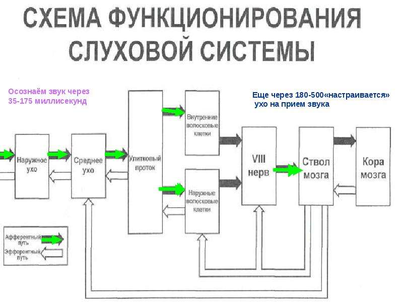 Схема звукового анализатора