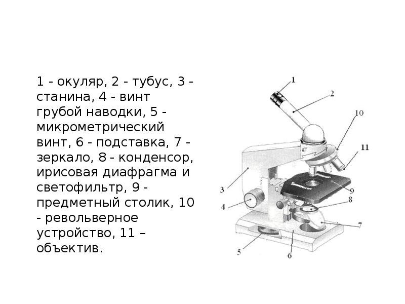 Части микроскопа выполняют функции предметный столик