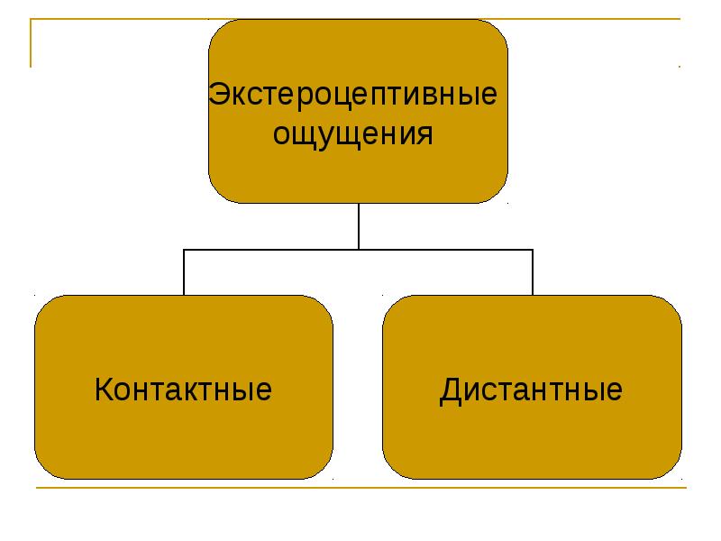 Дистантные ощущения. Экстероцептивные ощущения. Виды экстероцептивных ощущений. К экстероцептивным ощущениям относят:. Экстероцептивные дистантные ощущения.