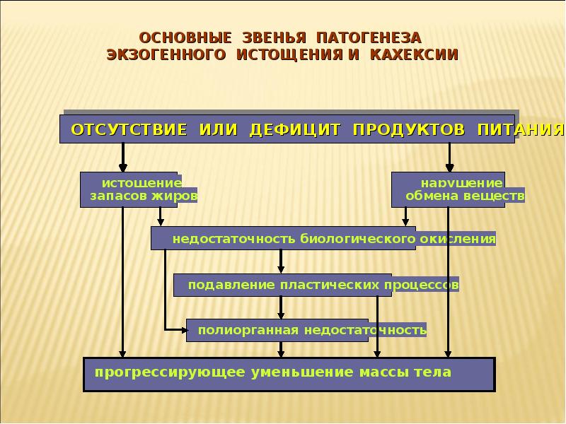 Важное звено. Схема патогенеза раковой кахексии. Основные звенья патогенеза. Основное звено патогенеза. Патогенез звенья патогенеза.