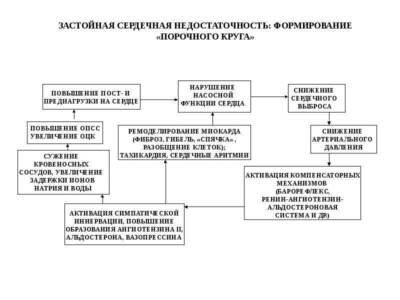 Антигипертензивные средства презентация