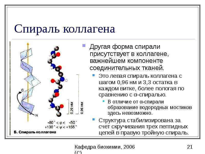 Биологическое окисление биохимия презентация