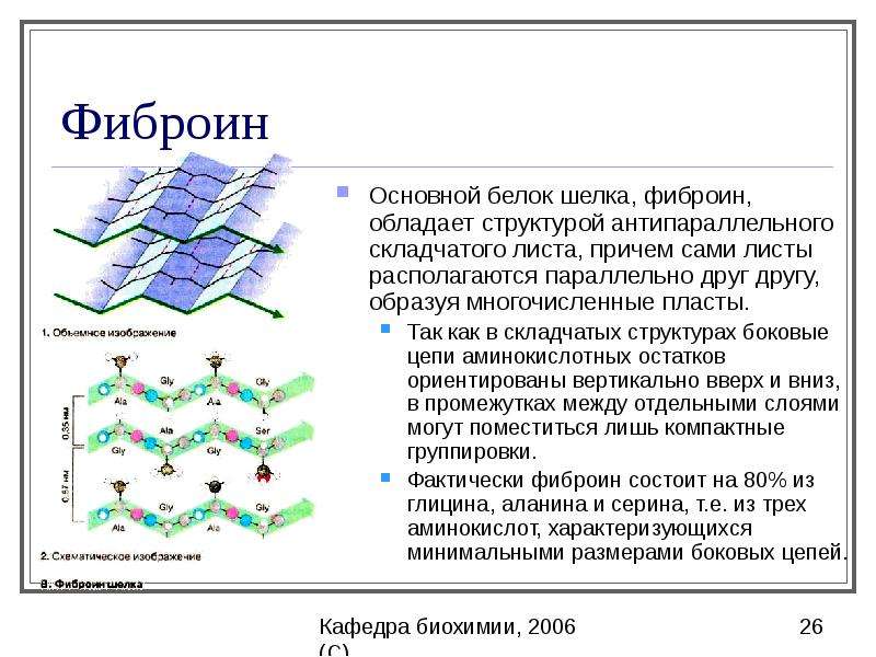 Белки и пептиды презентация