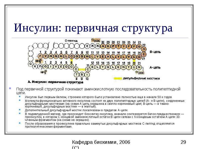 Презентация белки и пептиды