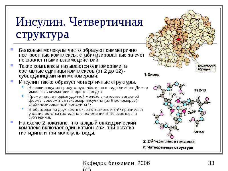 Назовите структуру белковой молекулы изображенную на рисунке какие взаимодействия и химические связи