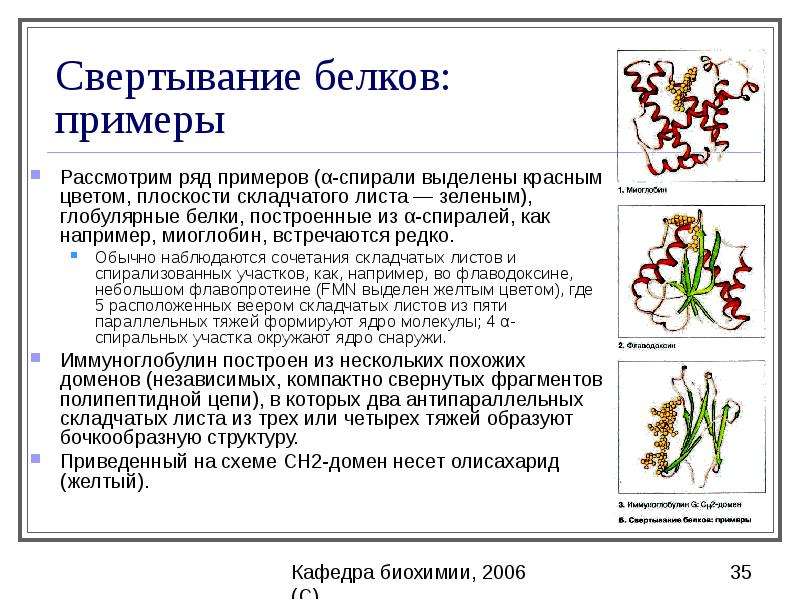 Примеры белков