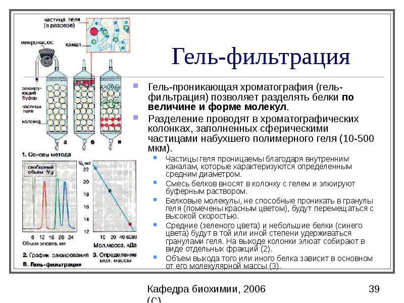 Метод гель фильтрации