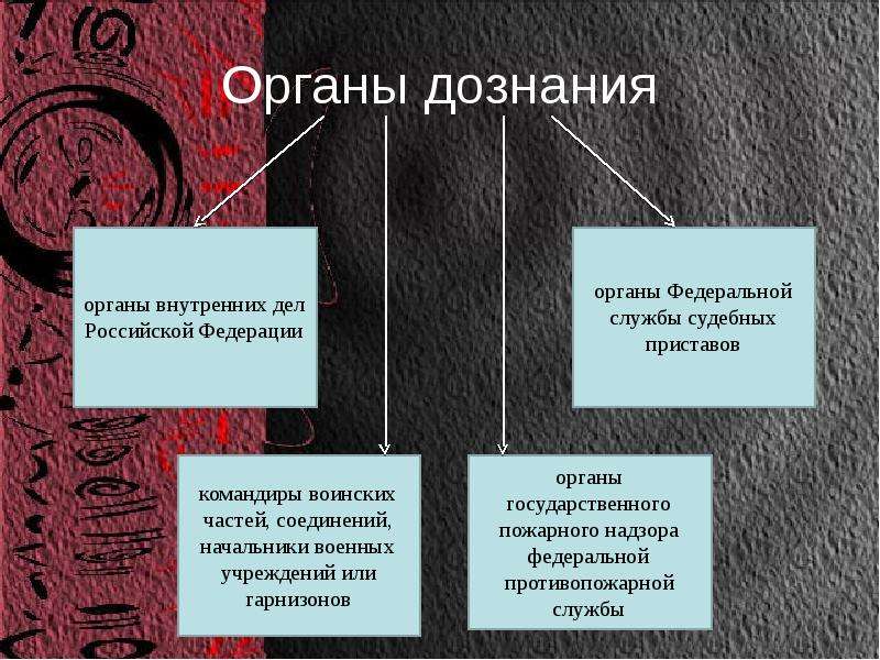 Орган дознания презентация