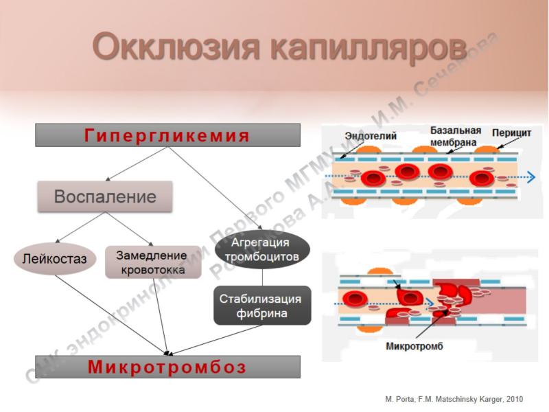 Перициты в стенке капилляров