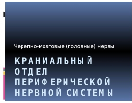 Краниальный отдел периферической нервной системы Черепно-мозговые (головные) нервы
