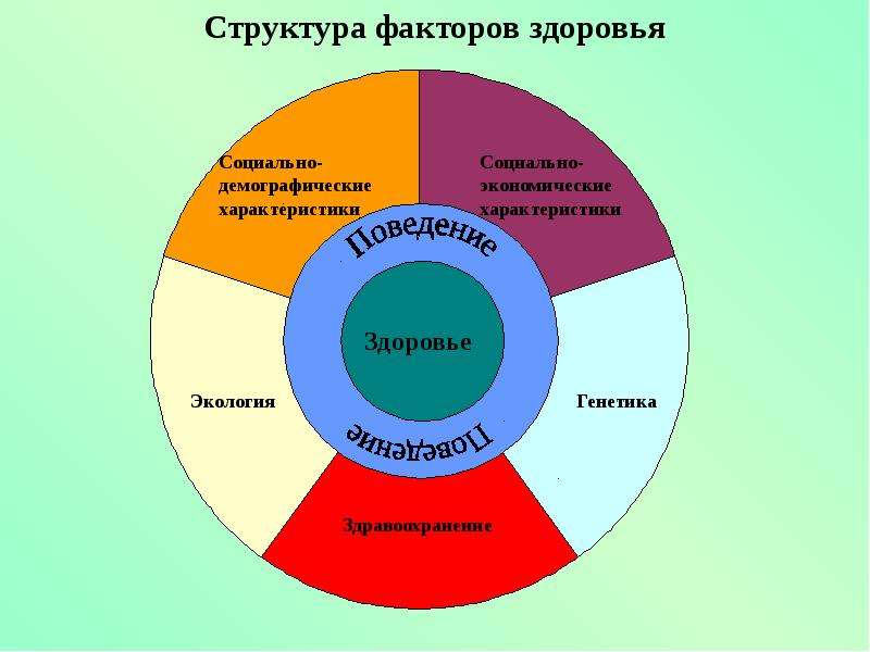 Структура здоровья. Факторы формирующие здоровье человека. Факторы формирующие здоровье населения. Факторы влияющие на формирование здоровья. Факторы формирующие здоровье по воз.