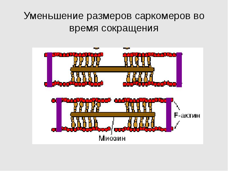 Многошаговая схема редукции размерности