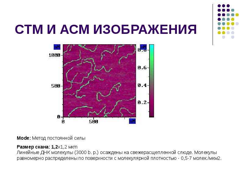 Обработка асм изображений