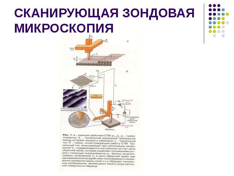 Сканирующий туннельный микроскоп фото