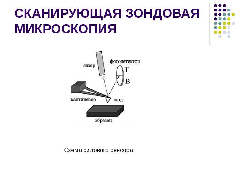 Сканирующая зондовая микроскопия фото