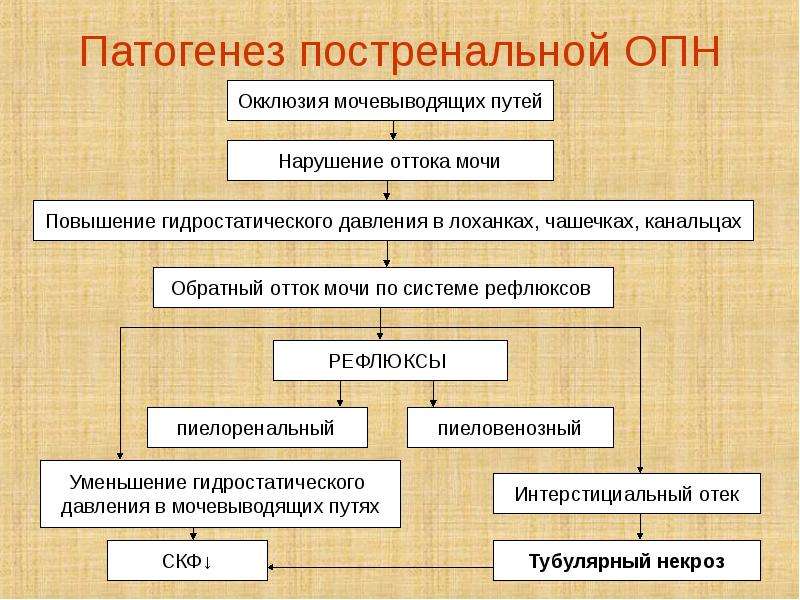 Почечная недостаточность патофизиология презентация