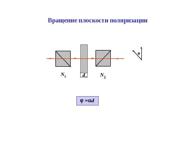 Плоскость поляризации