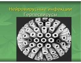 Нейровирусные инфекции Герпесвирусы