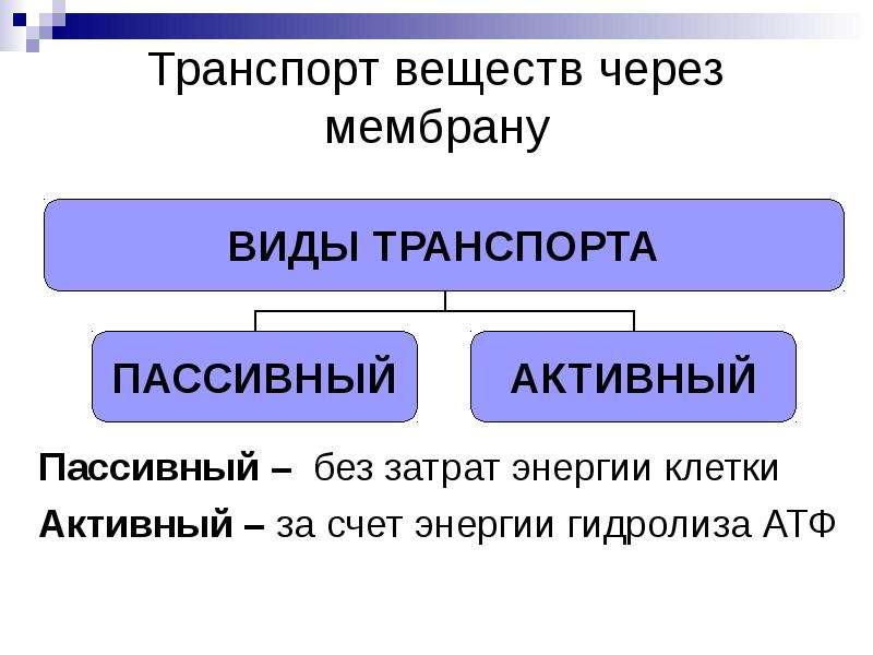 Активный и пассивный транспорт веществ. Виды транспорта через мембрану. Транспорт веществ через мембрану. Пассивный и активный разум.