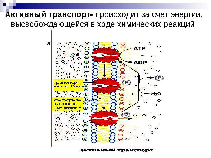 Ходе химической