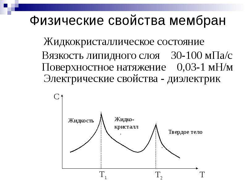 Свойства мембраны. Вязкость мембраны. Физические свойства биологических мембран. Поверхностное натяжение мембраны. Физические свойства и параметры мембран.