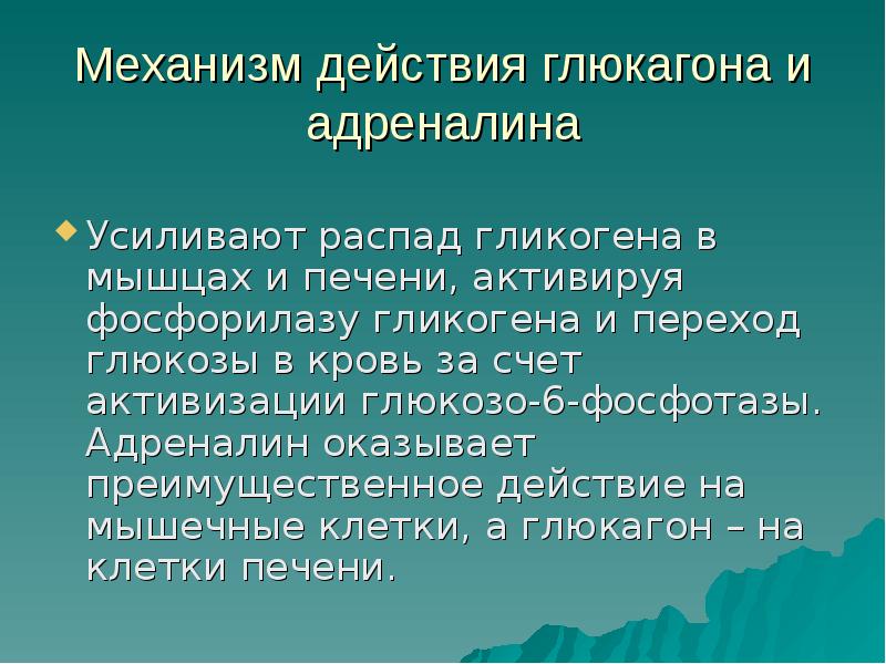 Адреналин оказывает действие