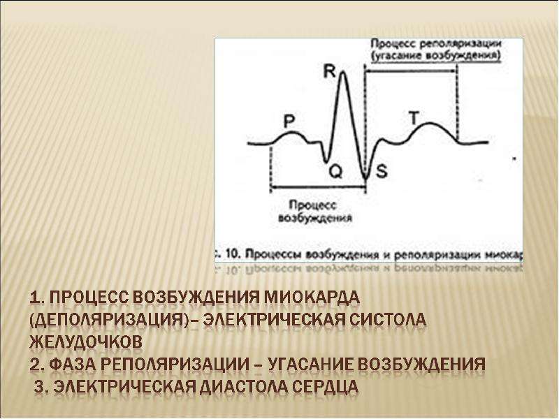 Нарушение реполяризации левого. ЭКГ деполяризация и реполяризация. Деполяризацию миокарда желудочков отражает на ЭКГ. Реполяризация миокарда физиология. Деполяризация желудочков сердца на ЭКГ.