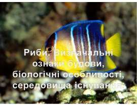 РИБИ. ВИЗН. ОЗН. БУДОВИ