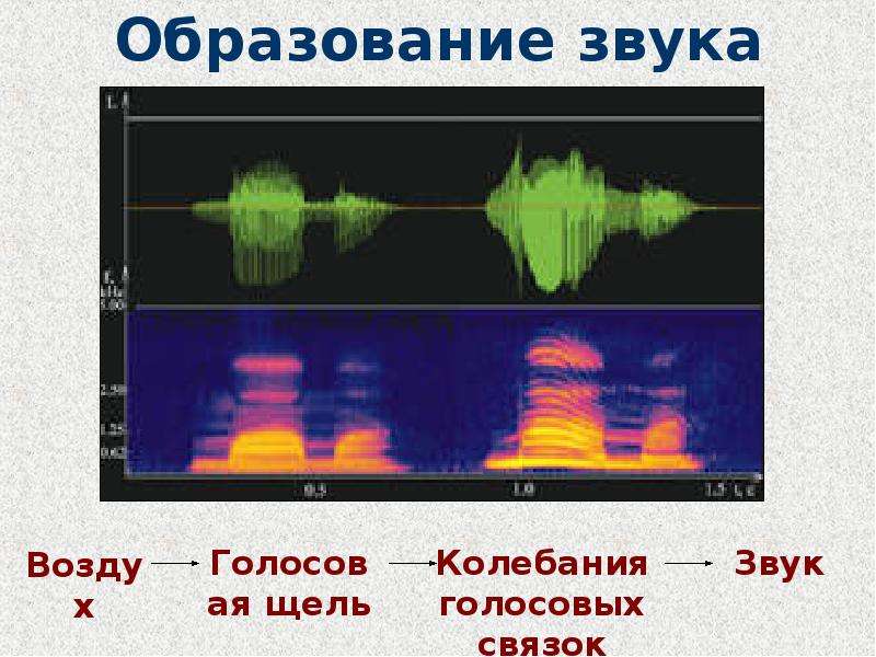 Звук воздуха для перехода. Затухание звука в воздухе. Частота колебания голосовых связок зависит от. Колебание голосовых связок затухающие.