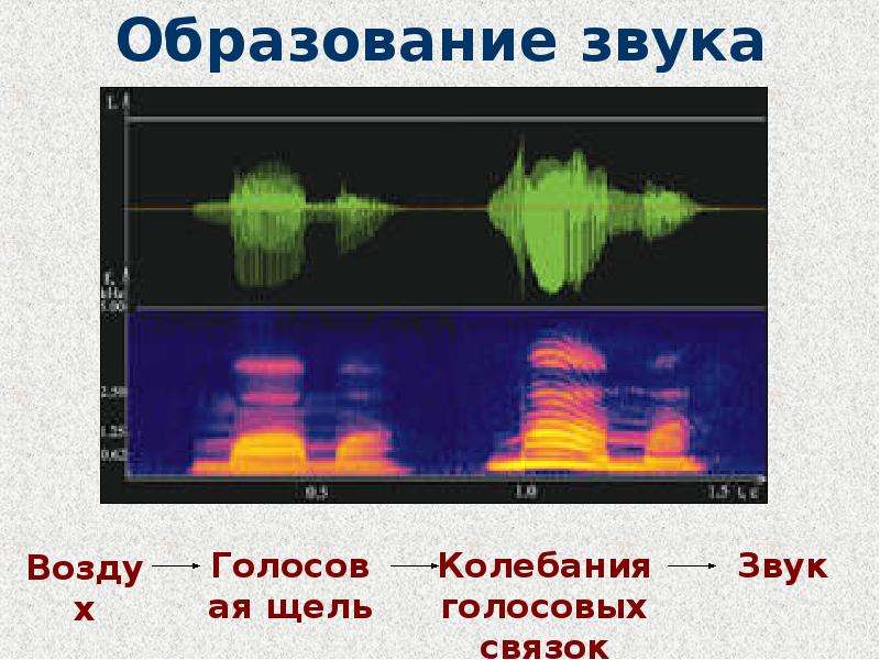 Звук воздуха. Частота колебаний голосовых связок. Звук по воздуху.