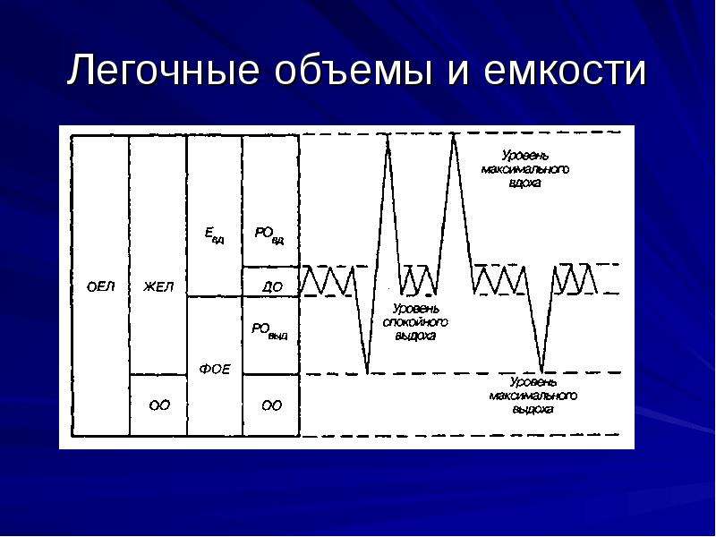 Схема легочных объемов