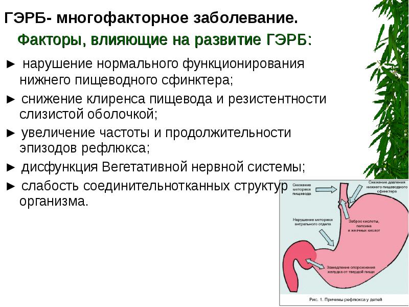 Гэрб у детей презентация