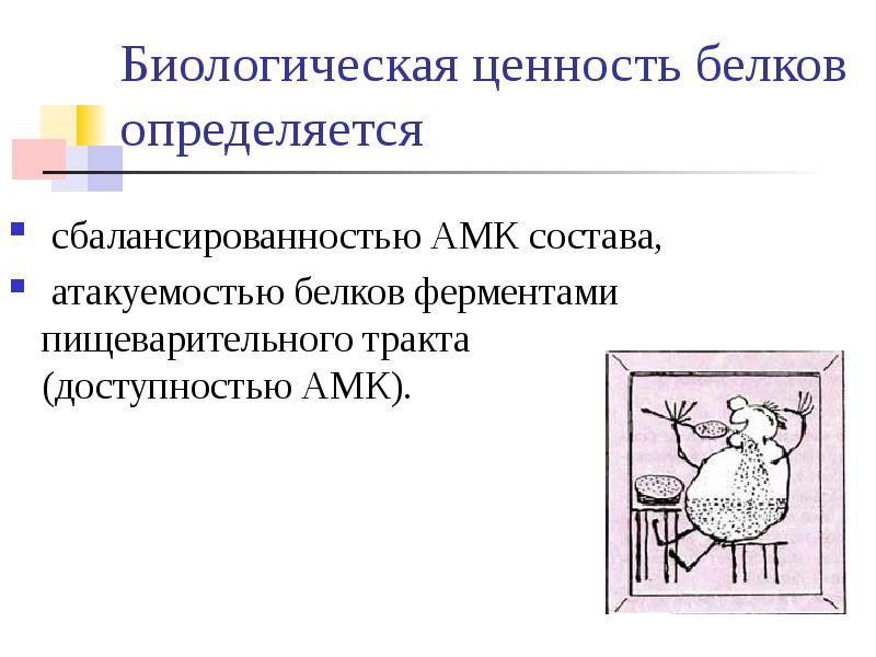 Биологическая ценность белка определяется. Биологическая ценность белков определяется. Чем определяется биологическая ценность белков. Поставщики биологически ценных белков. Критерии биологической ценности белков.