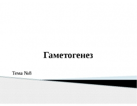 Гаметогенез