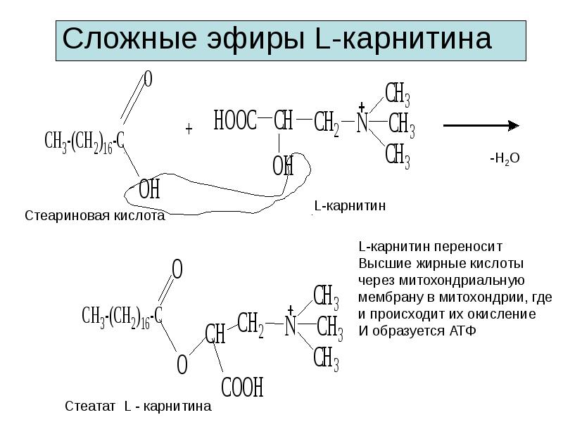 Сложные эфиры проект