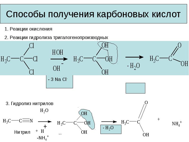 Индивидуальный проект карбоновые кислоты