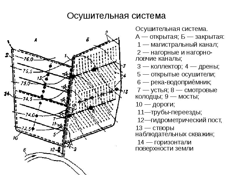 Осушительные мелиорации презентация