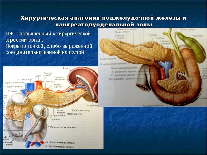 Дуоденальная связка