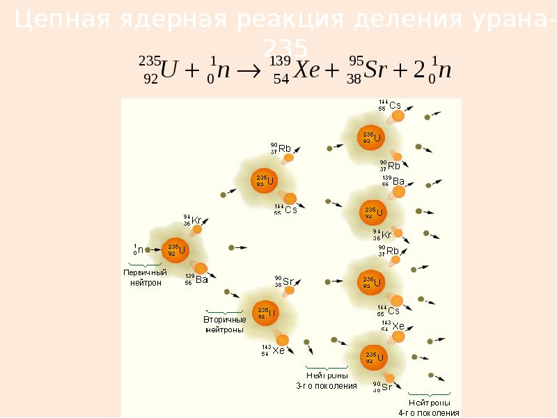 Цепную ядерную реакцию деления урана